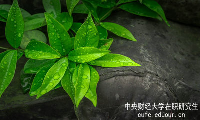 中央財(cái)經(jīng)大學(xué)同等學(xué)力申碩達(dá)到多少分才算通過(guò)考試？
