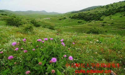 中國財經(jīng)大學(xué)在職研究生可以不考試么？