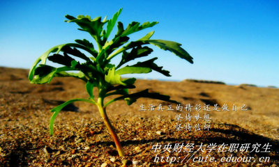 中央財(cái)經(jīng)大學(xué)在職研究生同等學(xué)力申碩有哪些優(yōu)勢(shì)？